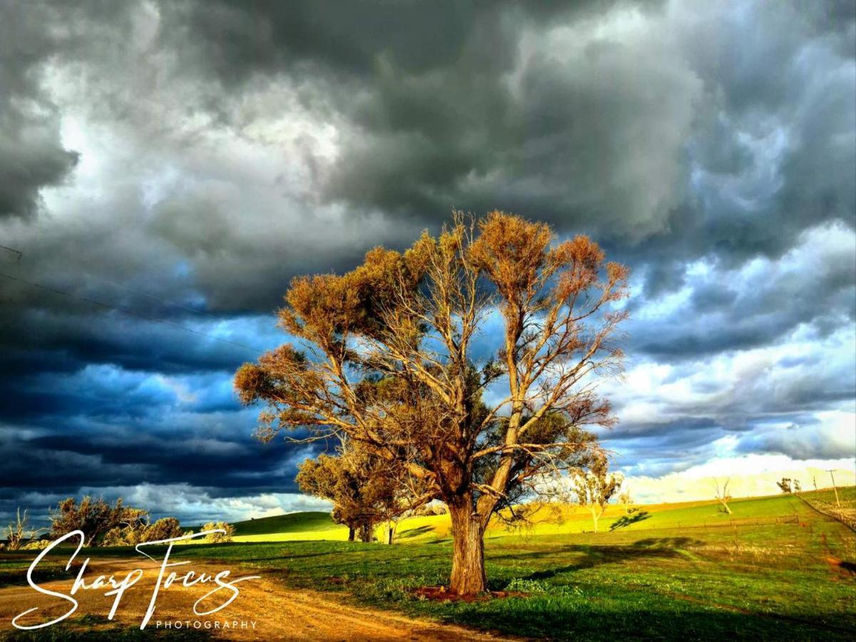 Wantana Cottage Farmstay Boorowa Eksteriør billede